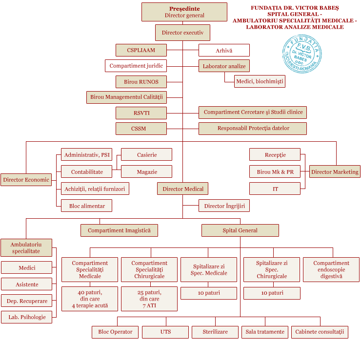Organization Chart Dr. Victor Babes Foundation